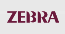 Зебра