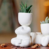 набор для выращивания eco йог в Магнитогорске