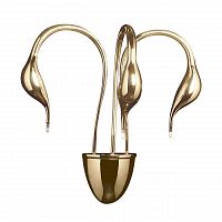 бра lightstar cigno collo 751632 в Магнитогорске