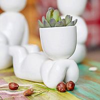 набор для выращивания eco мечтатель в Магнитогорске