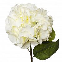 гортензия белая 62см (12) в Магнитогорске