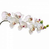искусственный цветок орхидея белая 85 см в Магнитогорске