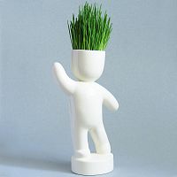 набор для выращивания eco победитель в Магнитогорске