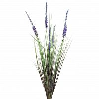 вейник остроконечный синий 78 см (12) в Магнитогорске