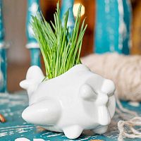 набор для выращивания eco самолет в Магнитогорске