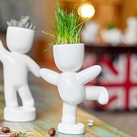 набор для выращивания eco танцор в Магнитогорске