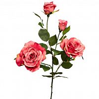 роза нежно-розовая 80 см (12) в Магнитогорске
