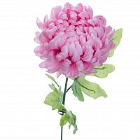 хризантема розовая 63 см (24) в Магнитогорске