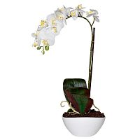 орхидея белая в горшке 46 см в Магнитогорске