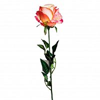 роза нежно-розовая 71 см (24) в Магнитогорске