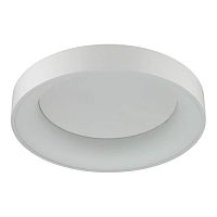 потолочный светодиодный светильник odeon light sole 4062/40cl в Магнитогорске