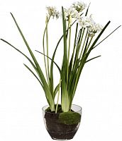 декор allium в Магнитогорске