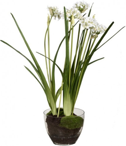 декор allium в Магнитогорске
