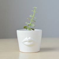 набор для выращивания eco мини-кашпо «губы» в Магнитогорске