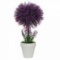 декоративное растение лаванда в горшочке 31 см в Магнитогорске