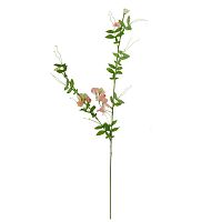 декоративное растение душистый горошек розовый 105 см в Магнитогорске