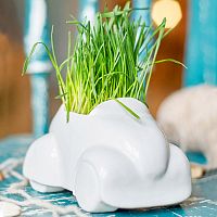 набор для выращивания eco машина в Магнитогорске