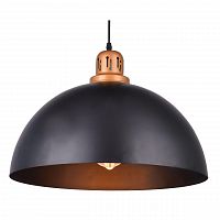 подвесной светильник arte lamp eurica a4249sp-1bk в Магнитогорске