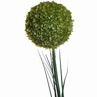 алиум малый зеленый 78 см (36) в Магнитогорске