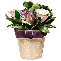 цветочная композиция с розами в горшке 17х21 в Магнитогорске