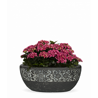 вазон из искусственного камня с резным бордюром 30 см пуатье черный в Магнитогорске