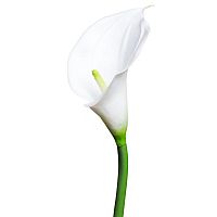 искусственный цветок калла белый 70 см в Магнитогорске