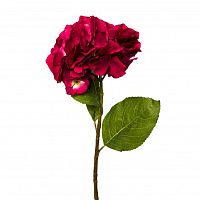 гортензия алая 62см (12) в Магнитогорске