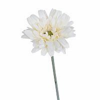 гербера белая 79 см (24) в Магнитогорске