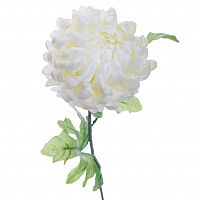 хризантема белая 63 см (24) в Магнитогорске
