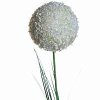 алиум малый кремовый 78 см (36) в Магнитогорске