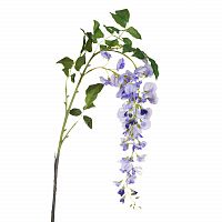 глициния сиреневая 142 см (18) в Магнитогорске