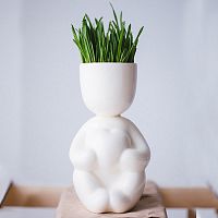 набор для выращивания eco романтик в Магнитогорске