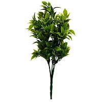 декоративное растение рускус 33 см в Магнитогорске