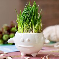 набор для выращивания eco кру в Магнитогорске