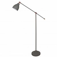 торшер arte lamp braccio a2054pn-1gy в Магнитогорске