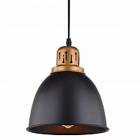 подвесной светильник arte lamp eurica a4245sp-1bk в Магнитогорске