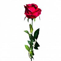 роза бордовая 71 см (24) в Магнитогорске