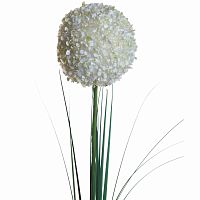 алиум кремовый 80 см (24) в Магнитогорске