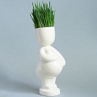 набор для выращивания eco мама в Магнитогорске