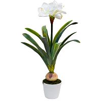 амариллис белый в горшке 76 см в Магнитогорске