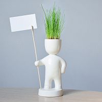 набор для выращивания eco знаменосец в Магнитогорске