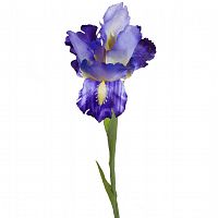 ирис синий 70см (48) в Магнитогорске