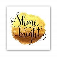 постер shine а3 в Магнитогорске