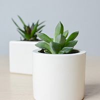 подвесное кашпо цилиндр в Магнитогорске