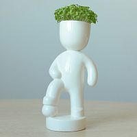 набор для выращивания eco футболист в Магнитогорске