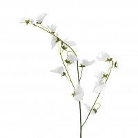 колокольчики белые 73 см (24) в Магнитогорске