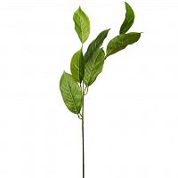 листья жакаранды 84 см (24) в Магнитогорске