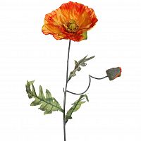 мак розовый 72 см (24) в Магнитогорске