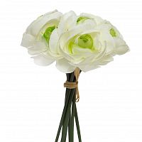 букет кремовых камелий 22 см (12) в Магнитогорске