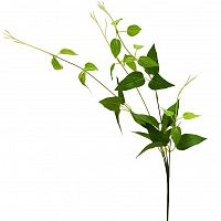 веточка с листьями 80 см (24) в Магнитогорске